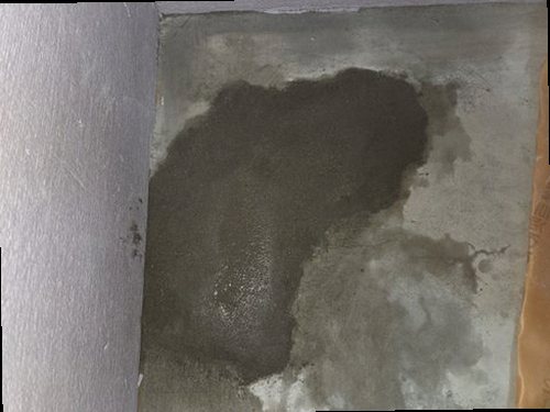 누수탐지 벽지 얼룩과 천장 모서리에 번진 누수 흔적을 확인하는 점검 장면