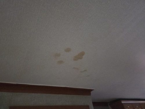 누수탐지 벽체 내부 배관 누수 지점을 측정 장비로 확인하는 점검 장면