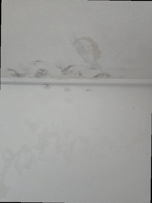 누수탐지 처치 후 얼룩 경계가 안정된 벽면 상태