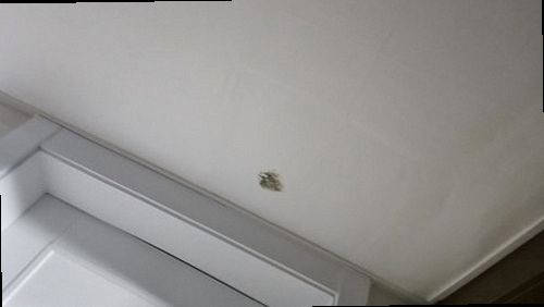 상가 천장 습기 점검 포천 누수탐지 상가 천장 습기 점검