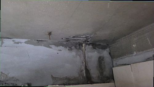 서울 중구 누수탐지 벽면과 천장에 나타난 누수 흔적을 점검하는 모습