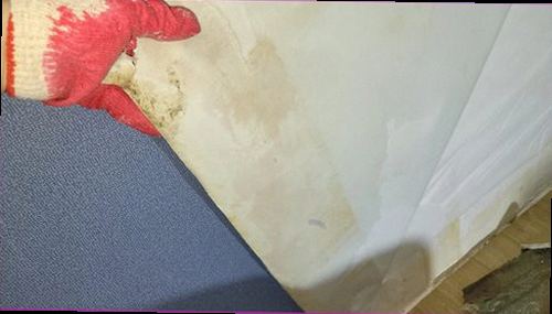 구리 누수탐지 천장 얼룩과 벽면 수분 분포를 확인하는 현장 점검 모습