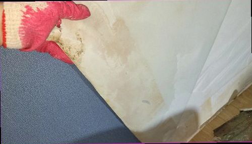 이천 누수탐지 천장에 번진 물자국과 점검 전 확인해야 할 주변 상태