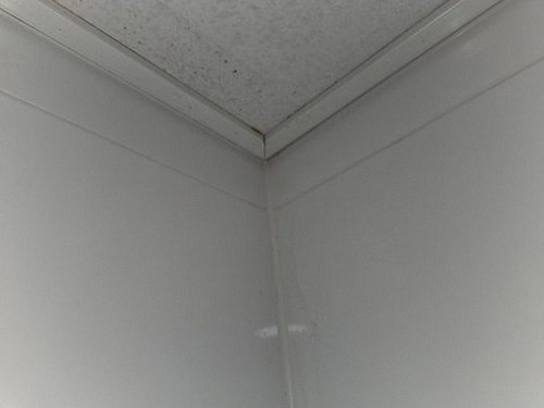 누수탐지 배관과 천장 내부의 의심 구간을 순서대로 점검하는 과정