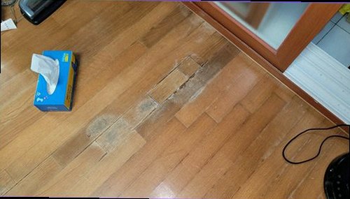 병점구 누수탐지 벽과 바닥의 누수 흔적을 확인하는 현장 점검 모습
