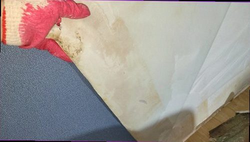 부평구 누수탐지 욕실 연결부 주변을 점검하고 측정 결과를 기록하는 모습