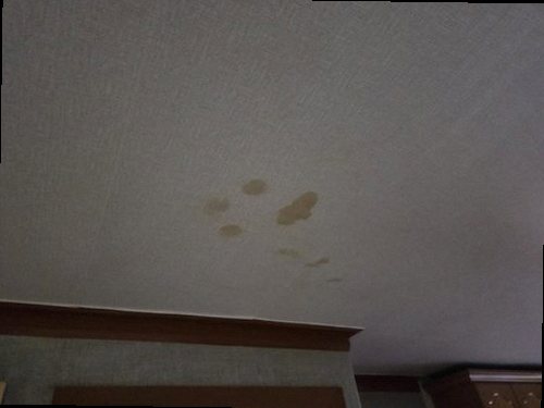 누수탐지 천장 얼룩의 위치와 크기를 기록하는 점검 장면
