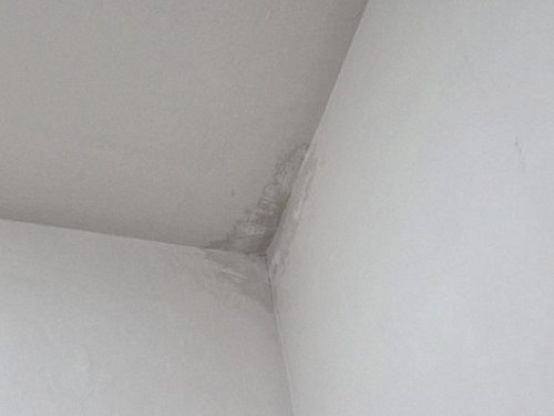 누수탐지 벽지 얼룩 경계와 욕실 배관 주변을 살펴보는 점검 장면