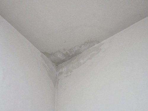 누수탐지 독산동 누수탐지 아파트 천장 얼룩 위층 원인 확인
