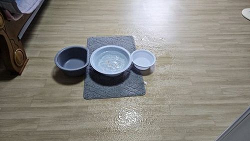 누수탐지 동교동 누수탐지 거실 벽체에서 얼룩이 번질 때 확인할 점