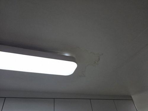 누수탐지 이문2동 누수탐지 벽체물샘증상 누수 원인과 점검의 기본