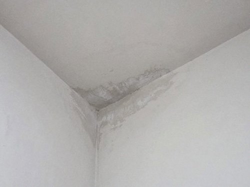 누수탐지 서현동 누수탐지 아랫집물샘피해 사례로 본 원인 구분 기준