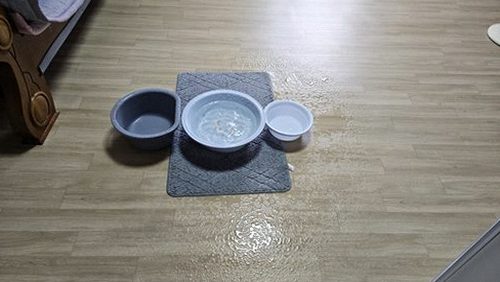 누수탐지 거실 천장 얼룩 초기 상태 점검 장면