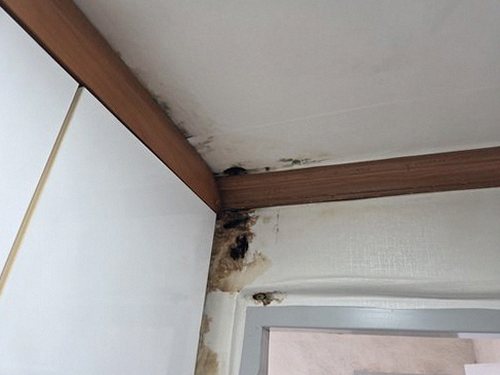 누수탐지 오금동 누수탐지 아랫집베란다물샘 처치 전후 달라진 결과