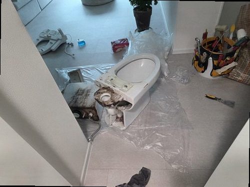 중원구 누수탐지 상대원동 오피스텔 8층 세탁실 시공 후기 사진