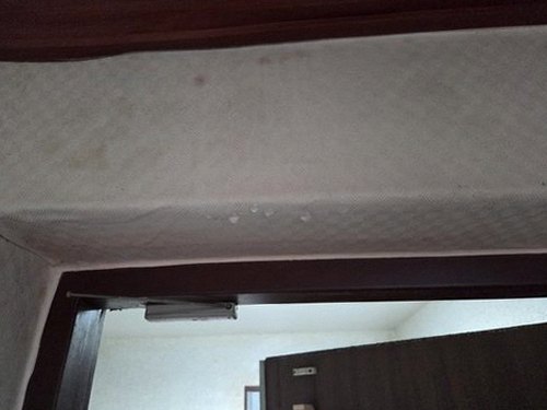 누수탐지 천장 얼룩이 번진 모습을 기록하는 점검 현장