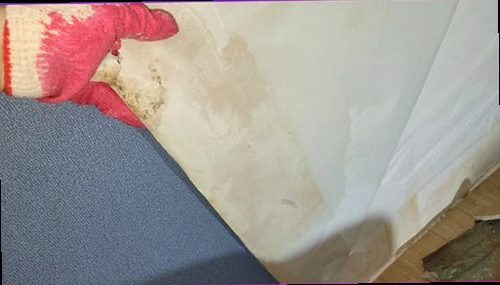 권선구 누수탐지 천장과 벽면의 누수 흔적을 확인하는 현장 점검 모습