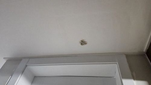 광진구 누수탐지 자양동 상가 2층 천장 안쪽 시공 후기 사진