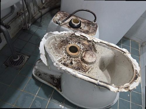 과천 전화 연결