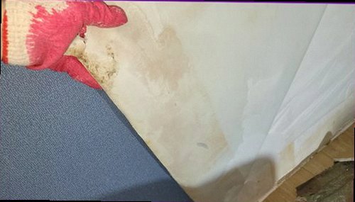 누수탐지 달안동 누수탐지 아파트방수공사 확인할 5가지와 대응법