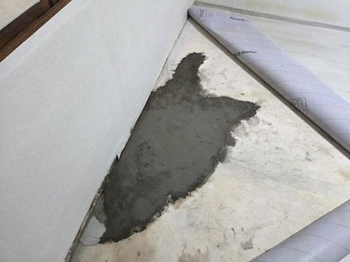 누수탐지 창수면 누수탐지 빌라 벽지 얼룩 직접 확인해 보니