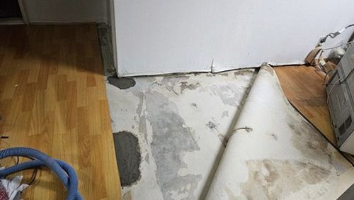 누수탐지 달안동 누수탐지 아파트 거실 천장 얼룩 단계별 검증 사례