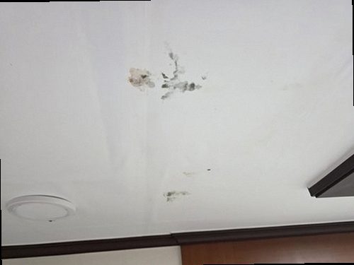 중랑구 누수탐지 면목동 빌라 4층 욕실과 거실 사이 시공 후기 사진