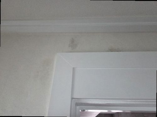 시흥 누수탐지 정왕동 아파트 6층 복도 천장 시공 후기 사진