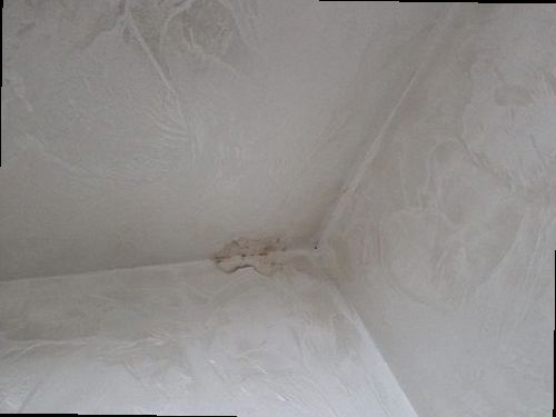 장안구 누수탐지 능곡동 현대아파트 시공 후기 사진
