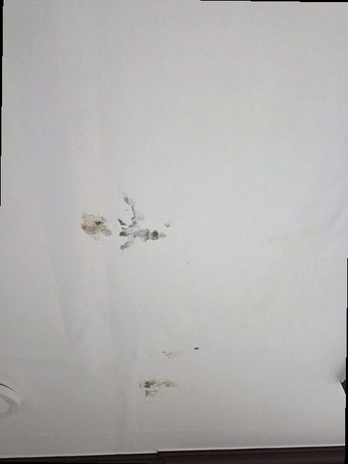 동안구 출동 접수 동안구 출동 접수