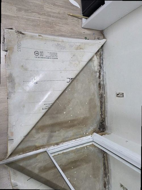 서해구·검단구 누수탐지 월곶동 연립주택 1층 베란다 벽 시공 후기 사진