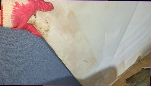 도봉구 누수탐지 싱크대 하부장과 주변 바닥의 누수 흔적을 확인하는 현장