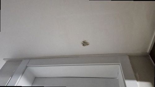 용산구 누수탐지 원남동 아파트 5층 작은방 바닥 시공 후기 사진