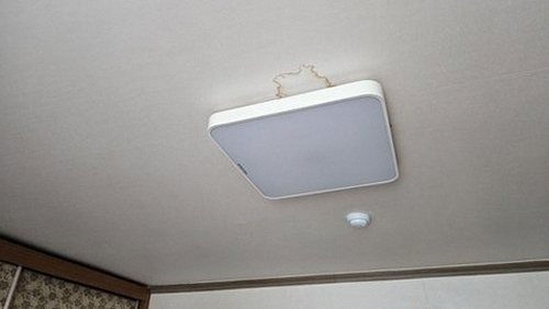 종로구 함께 확인 종로구 함께 확인