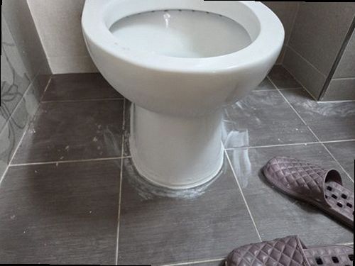 옹진군 현장 작업