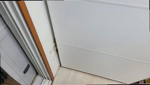 시흥 누수탐지 안방 천장 얼룩과 주변 습기 상태를 확인하는 현장 점검