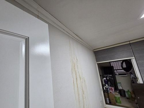 누수탐지 동본동 누수탐지 윗집누수증상 구분 기준과 기본 개념 정리