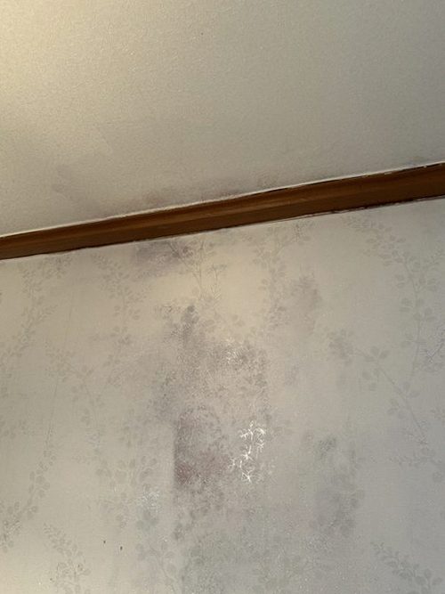 누수탐지 중앙동 누수탐지 핵심 3가지, 거실 천장 누수 구분법