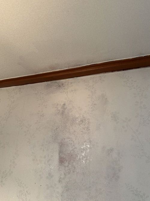 누수탐지 보수 후 배관과 천장 주변 상태를 확인하는 모습