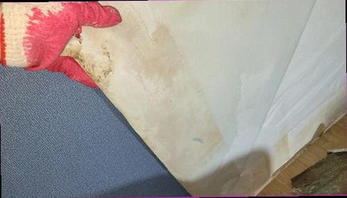 일산서구 누수탐지 배관 압력과 누수 위치를 확인하는 점검 장비