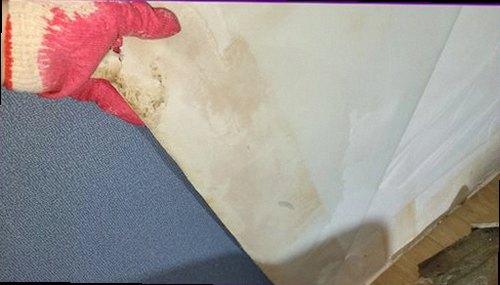 아산시 누수탐지 벽면 얼룩과 바닥 들뜸을 확인하는 모습