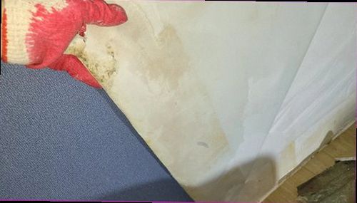 강남구 누수탐지 천장과 벽면의 누수 흔적을 확인하는 점검 모습