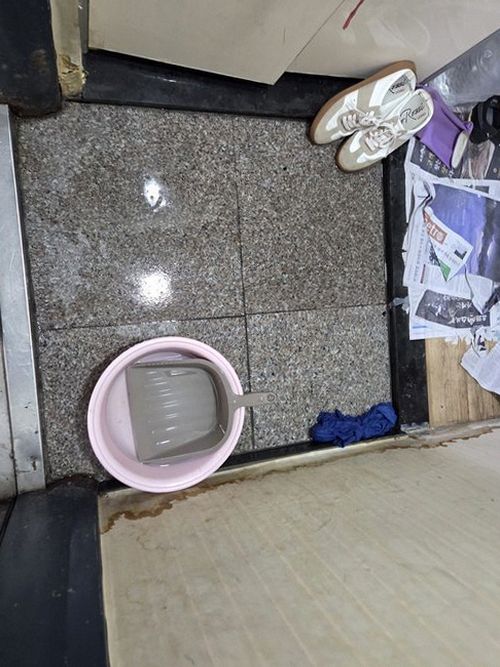 누수탐지 노량진동 누수탐지, 보험 처리와 직접 수리 비교
