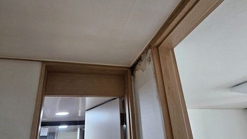 누수탐지 번동 누수탐지 아파트 천장 얼룩 원인 비교 정리