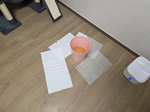 누수탐지 측정 결과를 비교하며 의심 구간을 좁히는 점검 모습