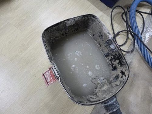 누수탐지 천장 얼룩의 범위와 물방울 발생 위치를 살피는 점검 장면