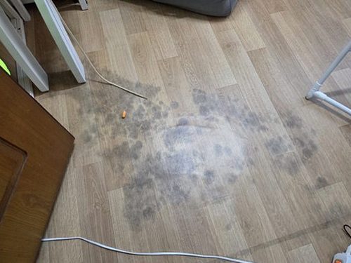 누수탐지 천장 얼룩을 점검하는 현장 모습