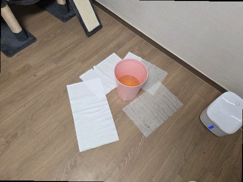 노원구 완료 점검 노원구 완료 점검