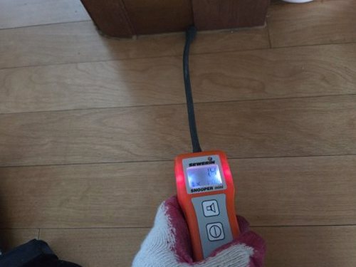누수탐지 욕실 천장 모서리 얼룩을 확인하는 점검 현장