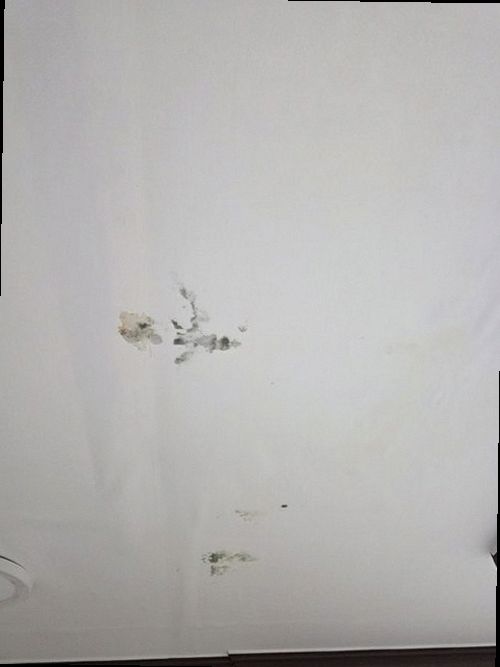 종로구 현장 작업